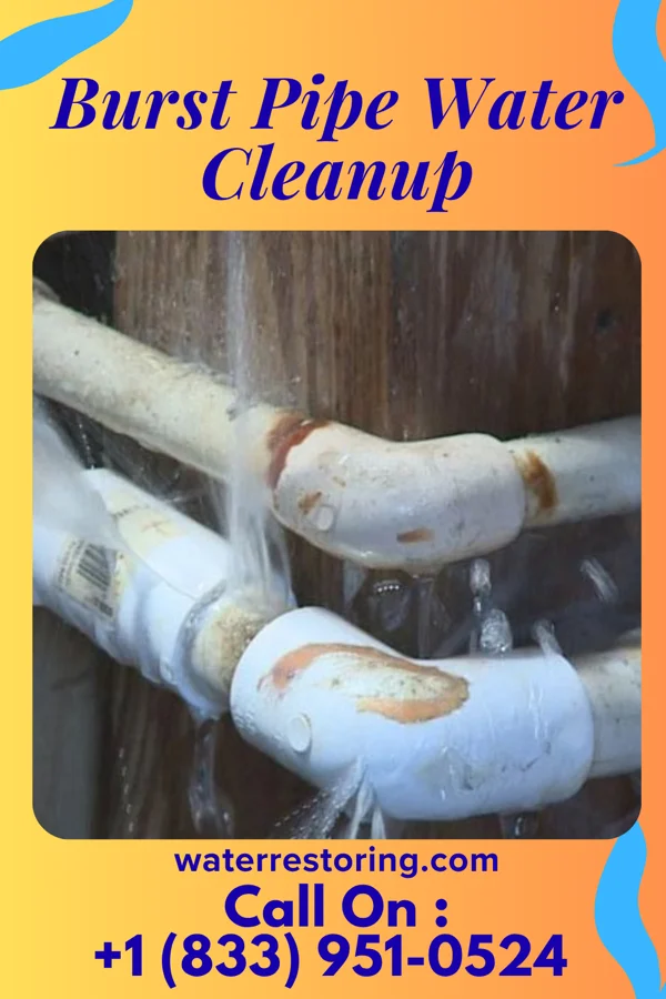 Burst Pipe Water Cleanup in Stony Creek Mills, PA
