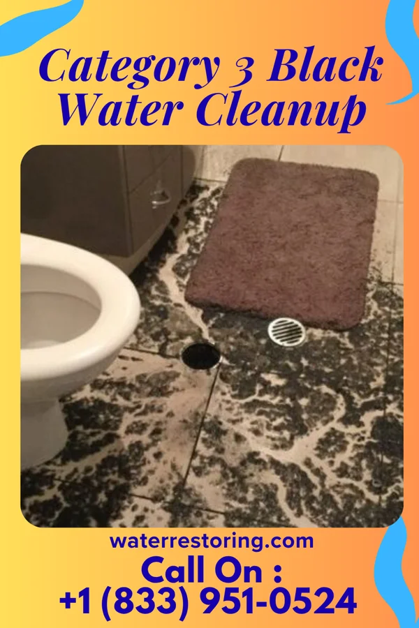 Category 3 Black Water Cleanup in Stony Creek Mills, PA