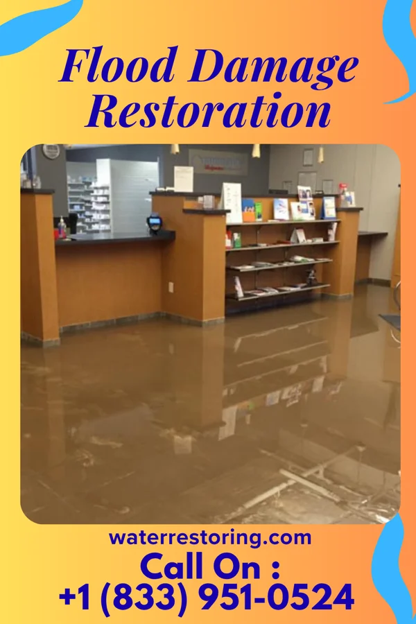 Flood Damage Restoration in Stony Creek Mills, PA