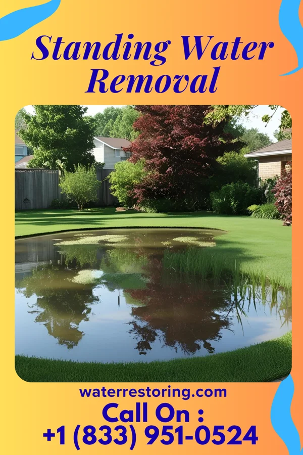 Standing Water Removal in Stony Creek Mills, PA